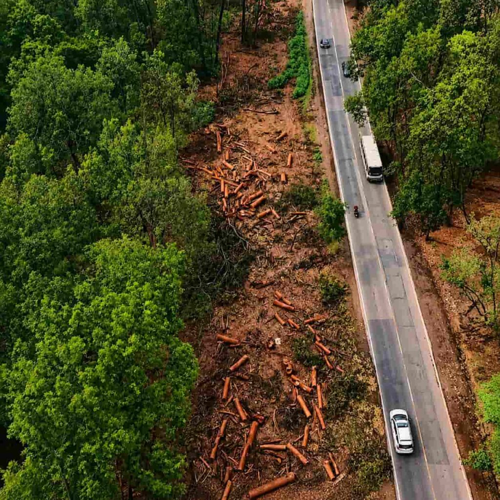 Uttarakhand Tree Cutting Roz Tak News