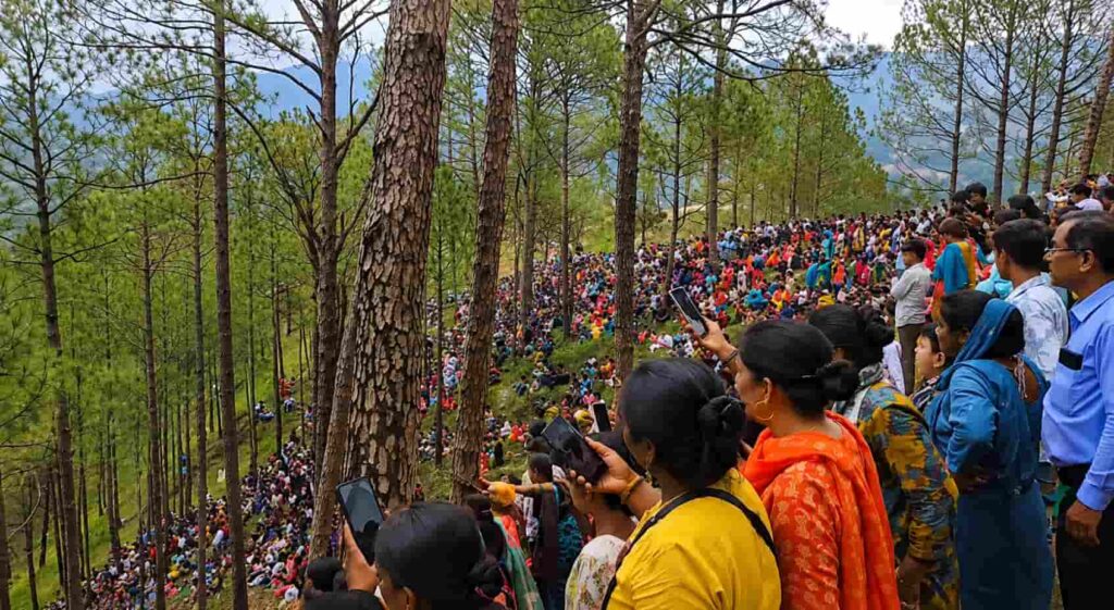 Uttarakhand Tree Cutting Roz Tak News