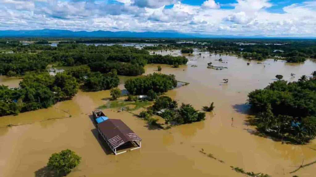 Assam Flood News