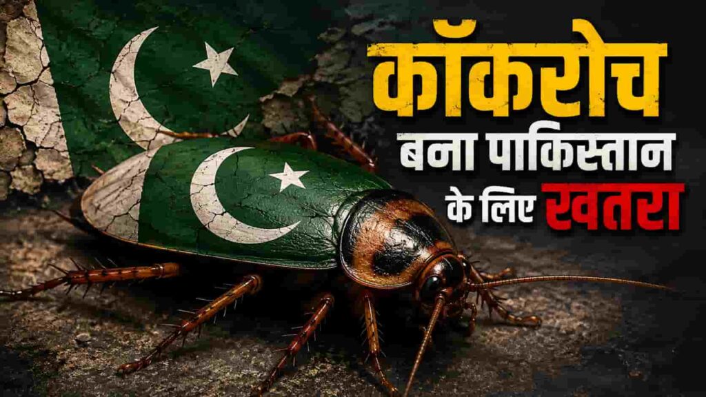 Cockroach Remark in pak